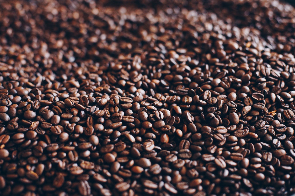 Sustainable Coffee Farming – How to Grow Coffee Beans Sustainably 
