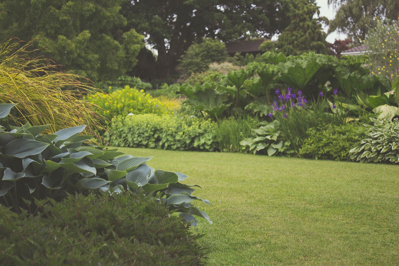 The Essential Guide to Maintaining Your Lawn